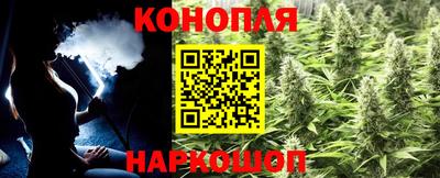 сатива Пушкино